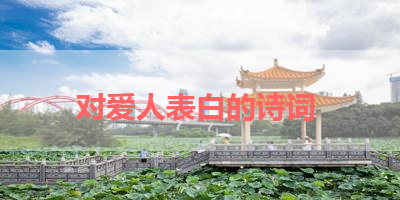 对爱人表白的诗词 
