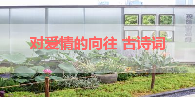 对爱情的向往 古诗词 