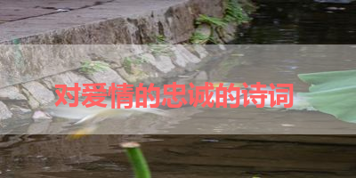 对爱情的忠诚的诗词 