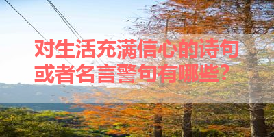 对生活充满信心的诗句或者名言警句有哪些？ 