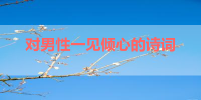 对男性一见倾心的诗词 