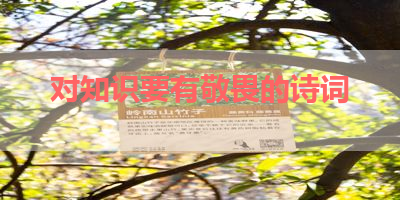 对知识要有敬畏的诗词 