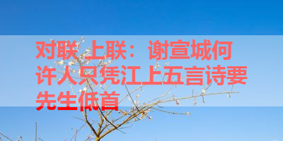 对联 上联：谢宣城何许人只凭江上五言诗要先生低首 