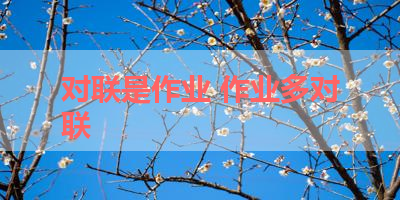 对联是作业 作业多对联