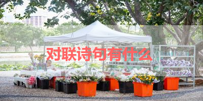 对联诗句有什么 