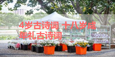 4岁古诗词 十八岁成年礼古诗词