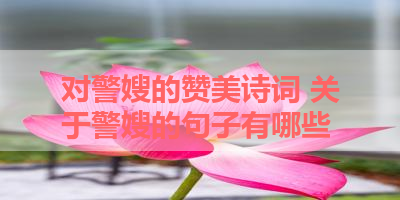 对警嫂的赞美诗词 关于警嫂的句子有哪些 