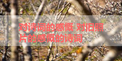 对诗词的感慨 对旧照片的感慨的诗词