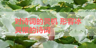 对诗词的灵机 形容冰灵根的诗词