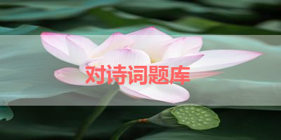 对诗词题库 
