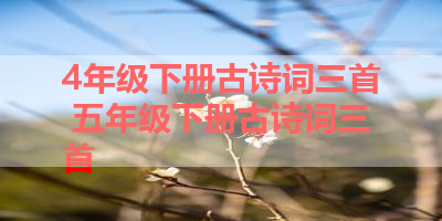 4年级下册古诗词三首 五年级下册古诗词三首