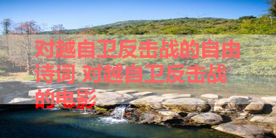 对越自卫反击战的自由诗词 对越自卫反击战的电影