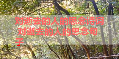 对逝去的人的思念诗词 对逝去的人的思念句子