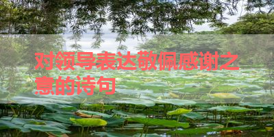 对领导表达敬佩感谢之意的诗句 