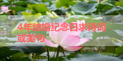 4年结婚纪念日求诗词或美句 