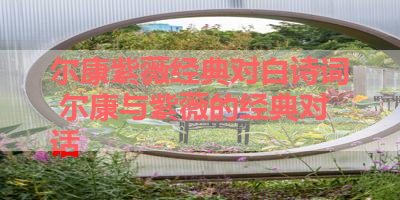 尔康紫薇经典对白诗词 尔康与紫薇的经典对话 