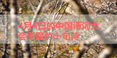 4月4日的中国诗词大会里面的十句诗 