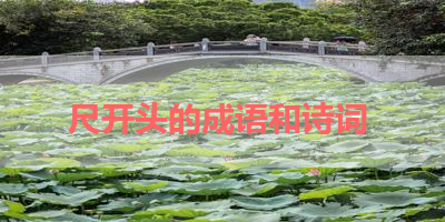 尺开头的成语和诗词 