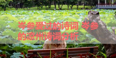 岑参爱过的诗词 岑参的凉州诗词分析