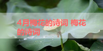4月梅花的诗词 梅花的诗词