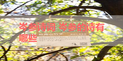 岑参诗词 岑参的诗有哪些 