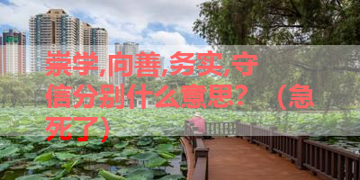 崇学,向善,务实,守信分别什么意思？（急死了） 