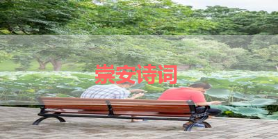 崇安诗词 