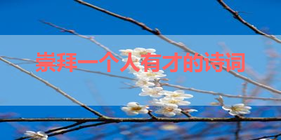 崇拜一个人有才的诗词 