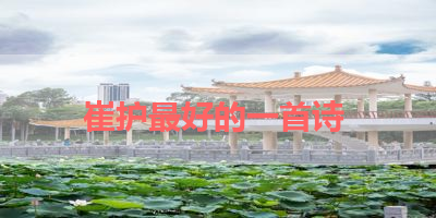 崔护最好的一首诗 