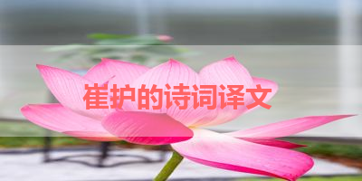 崔护的诗词译文 