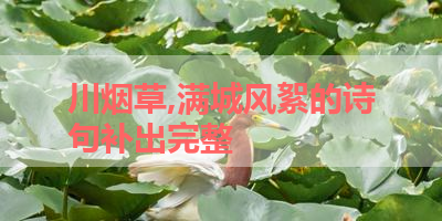 川烟草,满城风絮的诗句补出完整 