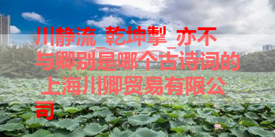 川静流_乾坤掣_亦不与卿别是哪个古诗词的 上海川卿贸易有限公司