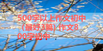 500字以上作文初中（最好3篇) 作文800字初中