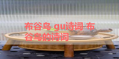 布谷鸟 gu诗词 布谷鸟的诗词