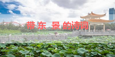 带 东  景 的诗词 