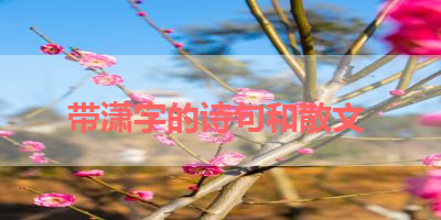 带潇字的诗句和散文 