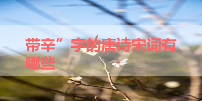 带辛”字的唐诗宋词有哪些 