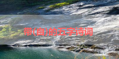 带(自)的五字诗词 