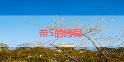 带5的诗词 