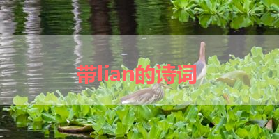 带lian的诗词 