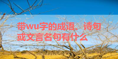 带wu字的成语、诗句或文言名句有什么 