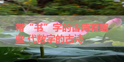带“书”字的古诗有哪些 代数字的古诗
