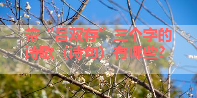 带“吕双存”三个字的诗歌（诗句）有哪些？ 