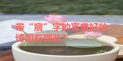 带“宸”字的寓意好的诗词有哪些？ 