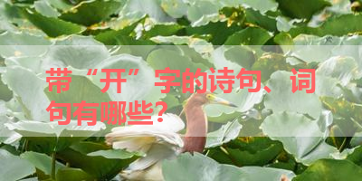 带“开”字的诗句、词句有哪些？ 