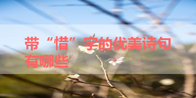 带“惜”字的优美诗句有哪些 