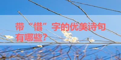带“惜”字的优美诗句有哪些？ 