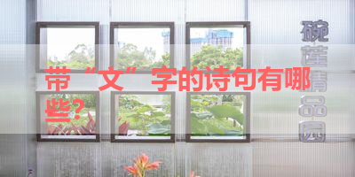 带“文”字的诗句有哪些？ 