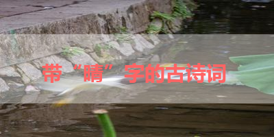带“晴”字的古诗词 