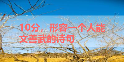 10分，形容一个人能文善武的诗句 